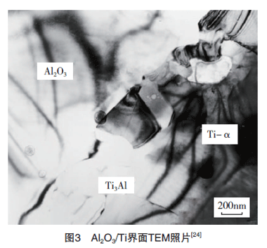 TEM照片
